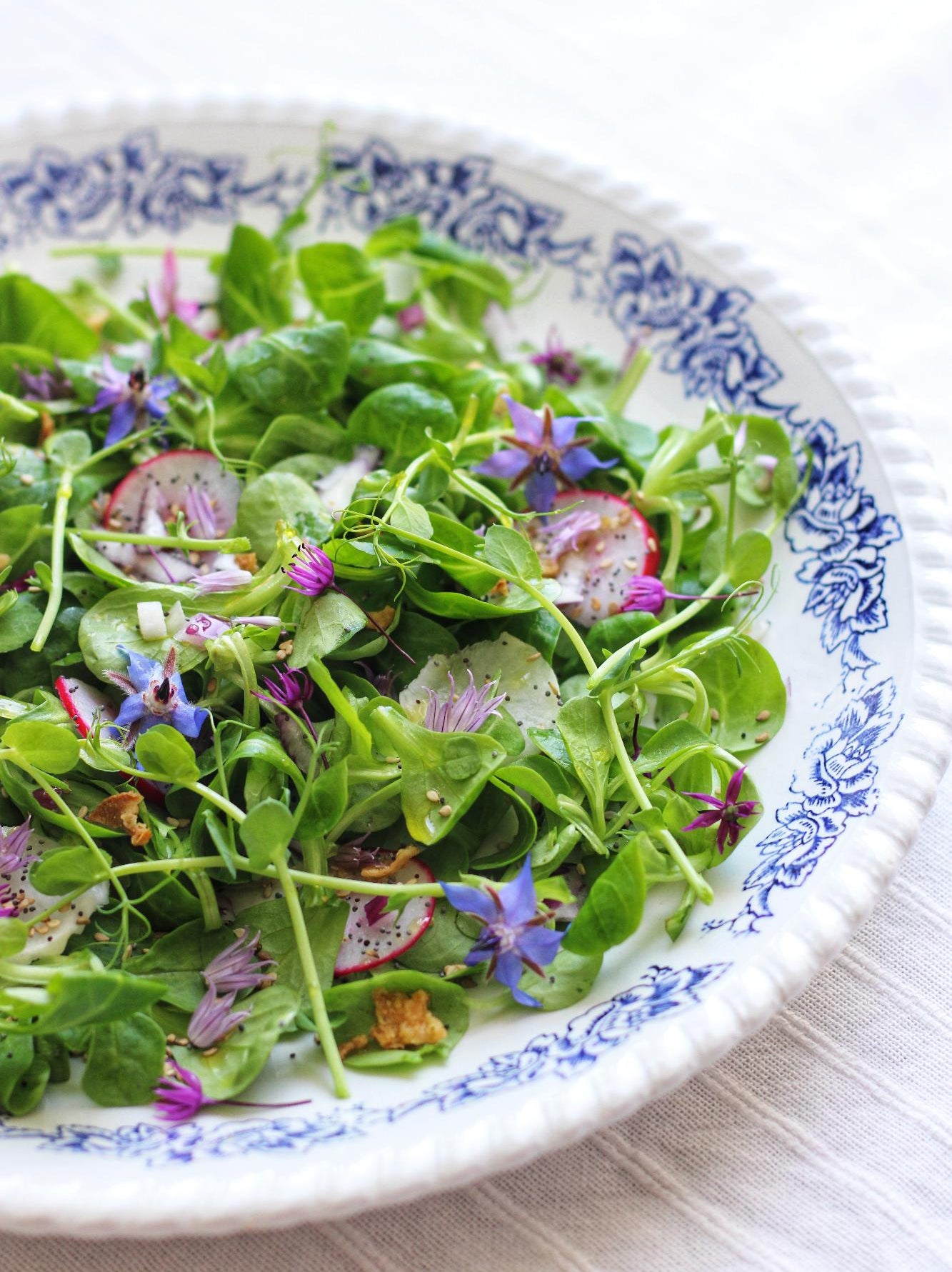 salade de fleurs comesible bourrache et ciboulette