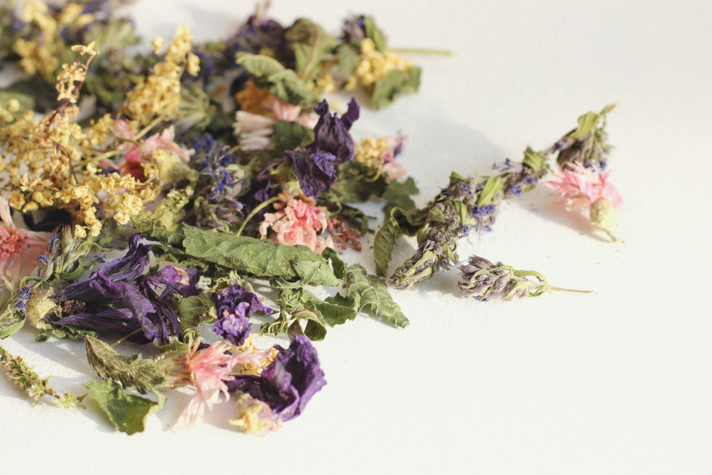L'infusion florale éphémère : Mamie d'amour